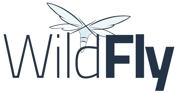 Como configurar um Datasource Oracle no Wildfly 10.1.0